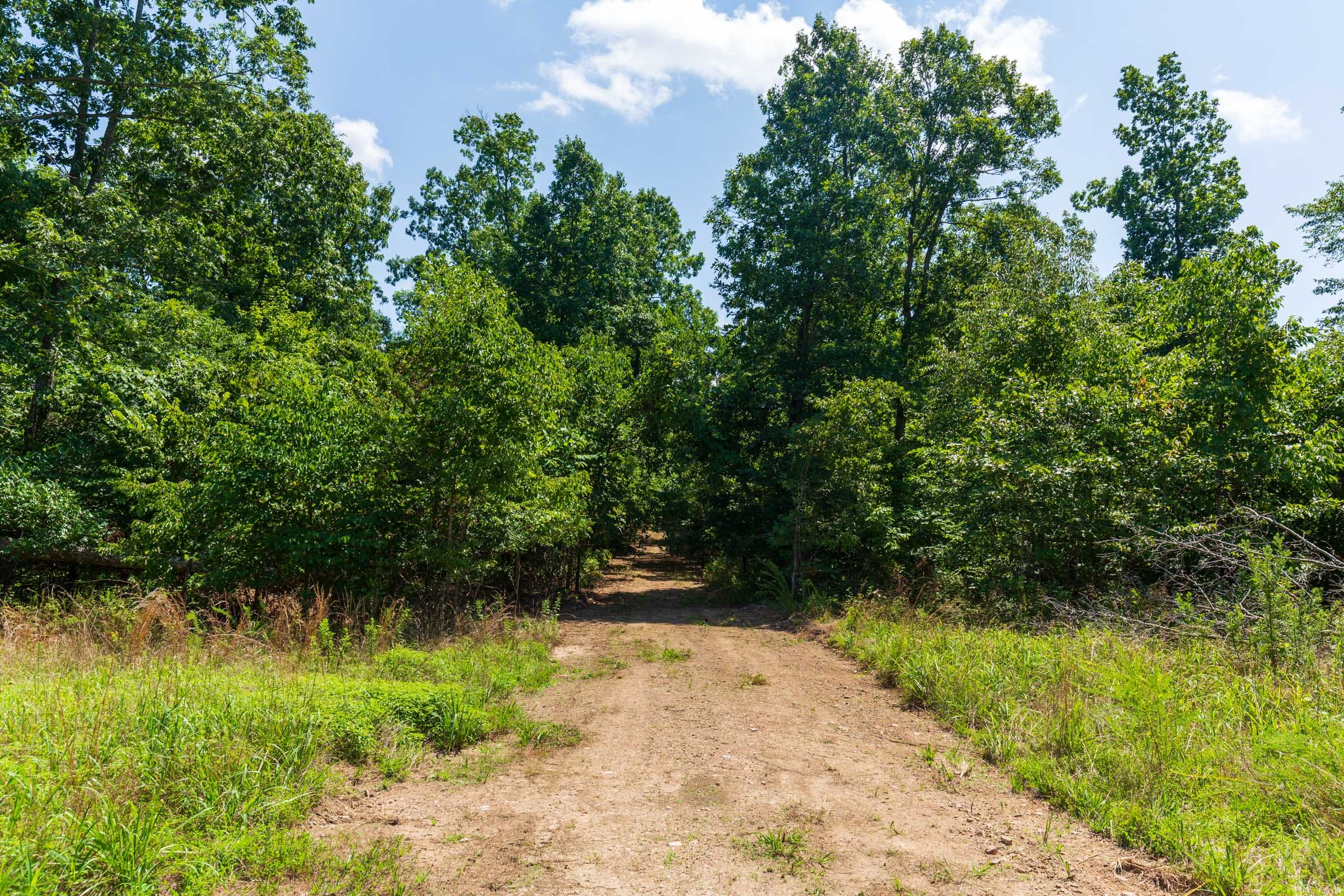 Cypress Ridge Tract 30 photo 9