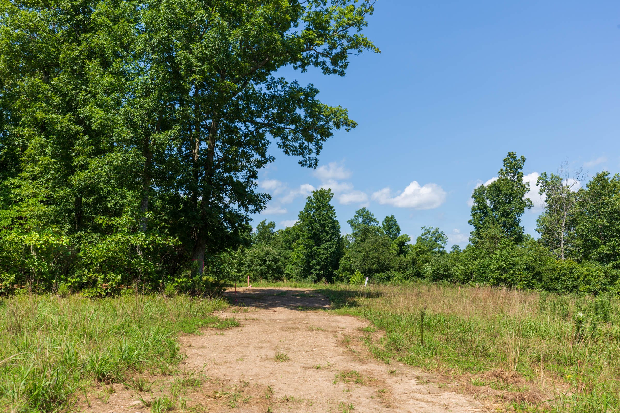 Cypress Ridge Tract 30 photo 6