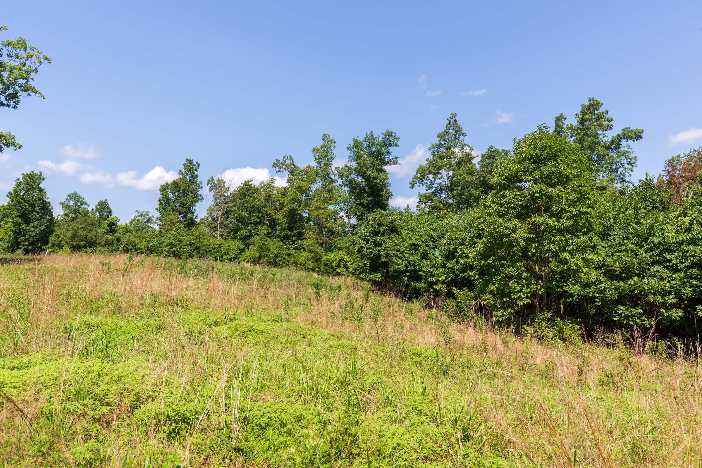 Cypress Ridge Tract 30 photo 15