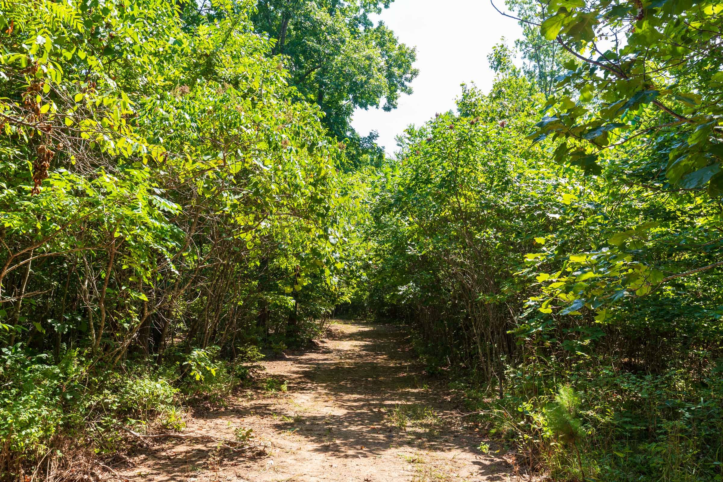 Cypress Ridge Tract 30 photo 13