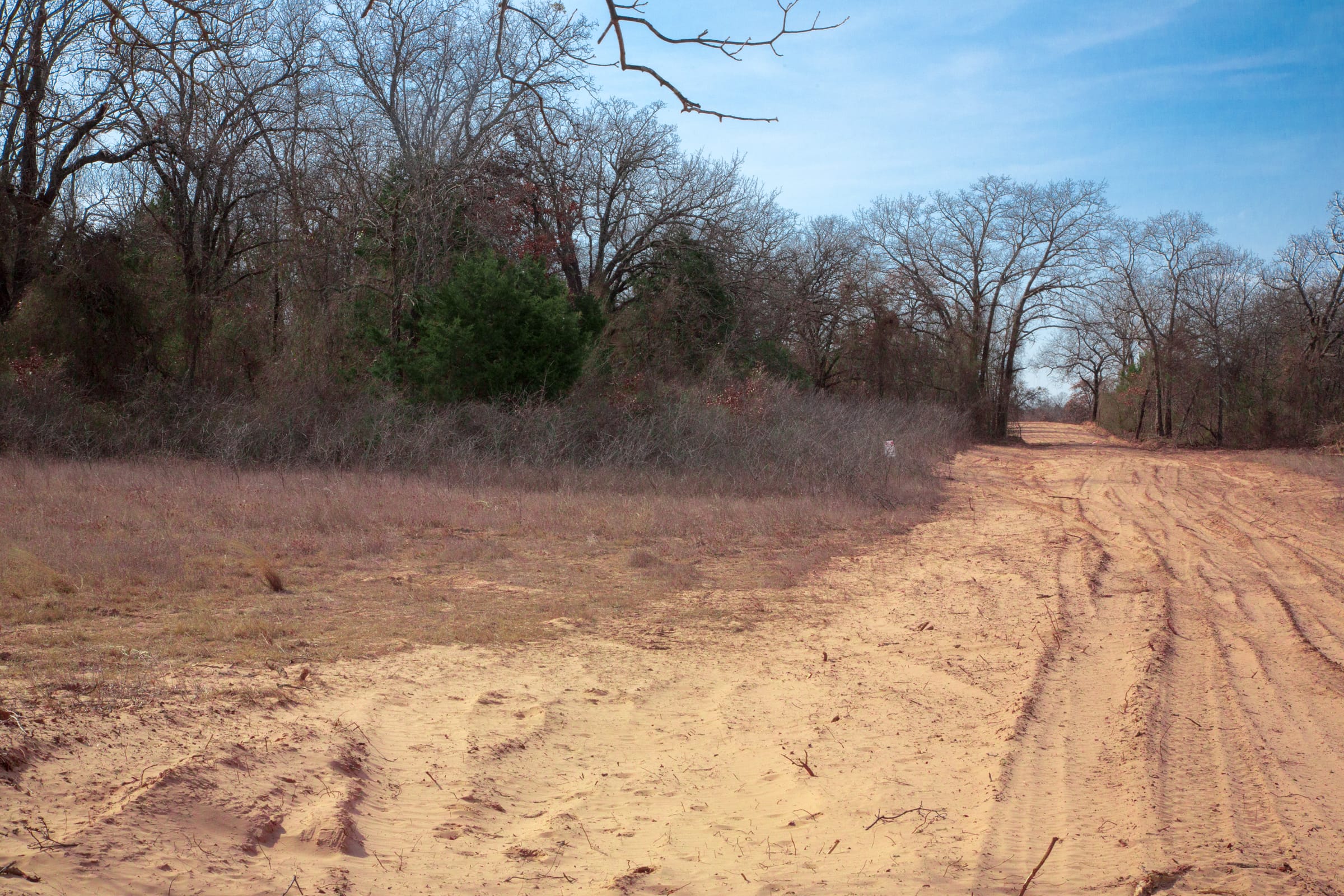 Legacy Ranch Tract 14 photo 7