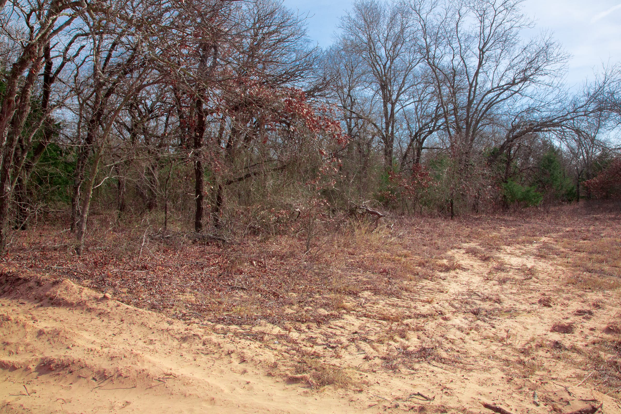 Legacy Ranch Tract 14 photo 8