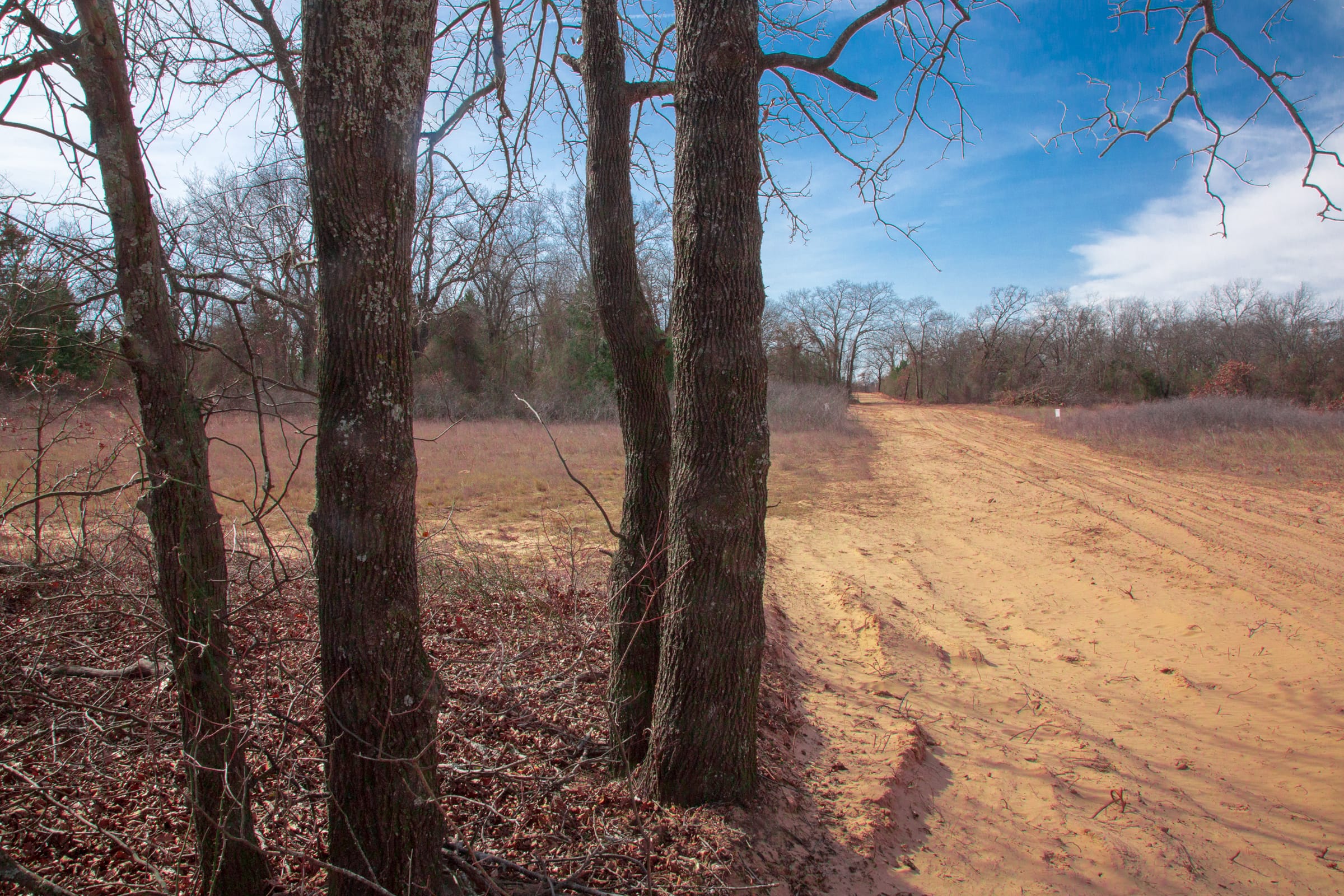 Legacy Ranch Tract 14 photo 9