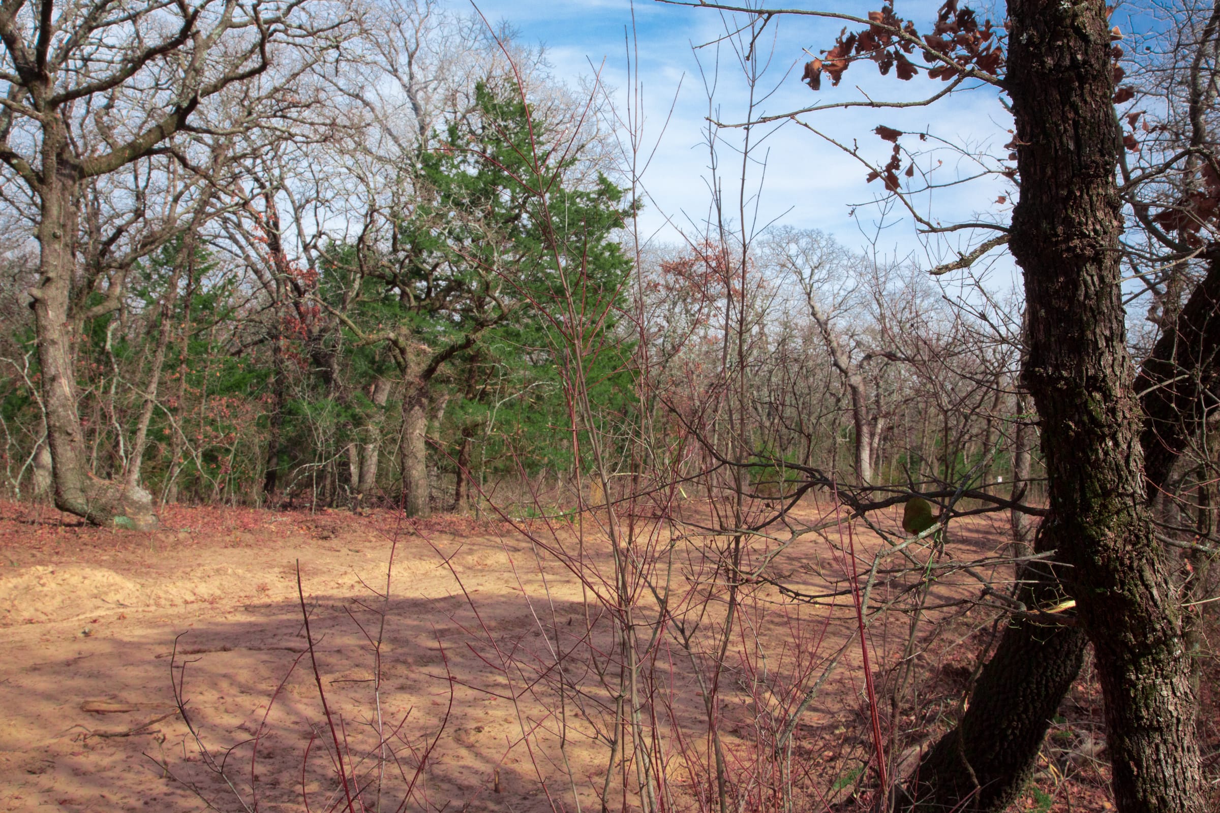Legacy Ranch Tract 14 photo 3