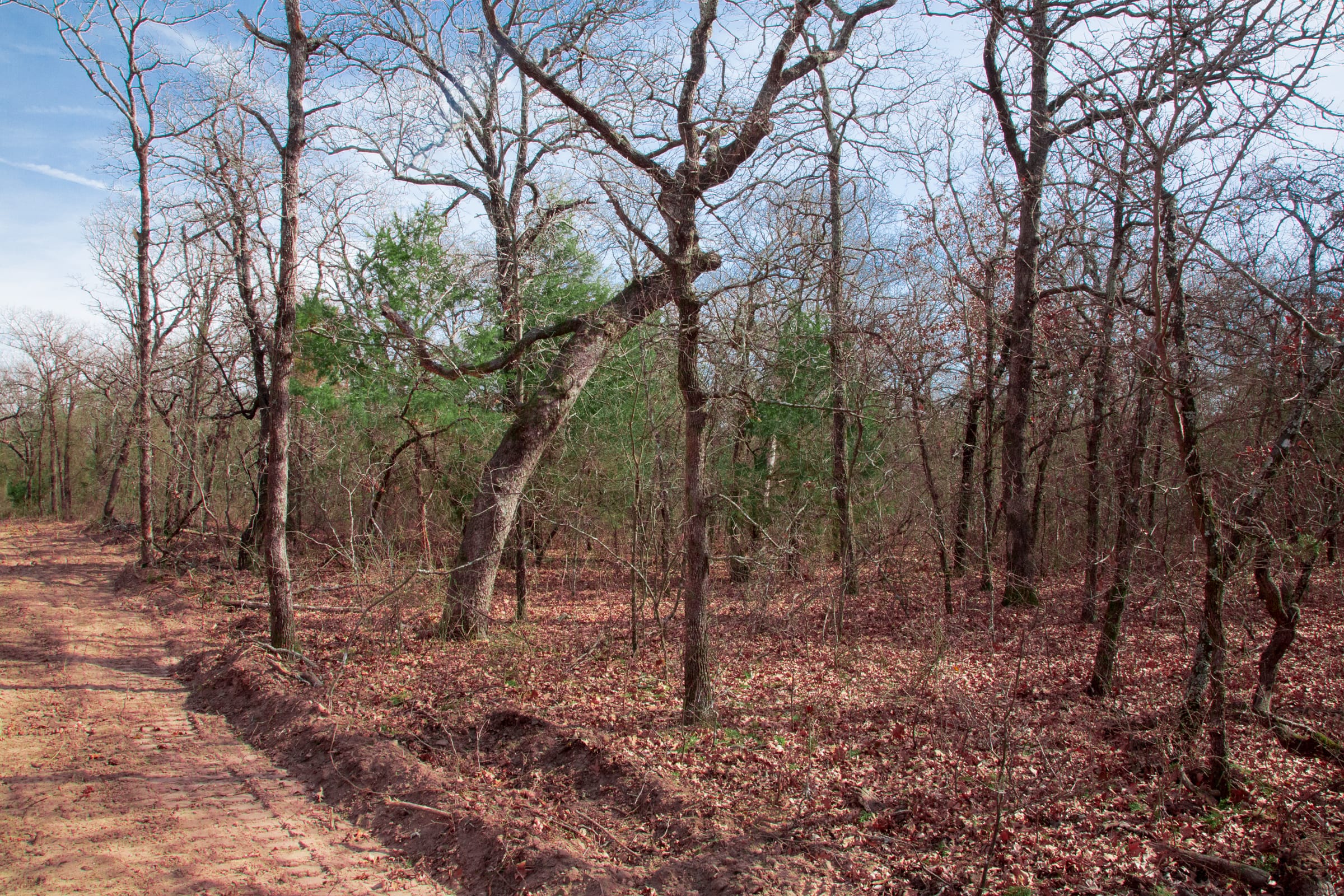 Legacy Ranch Tract 14 photo 10