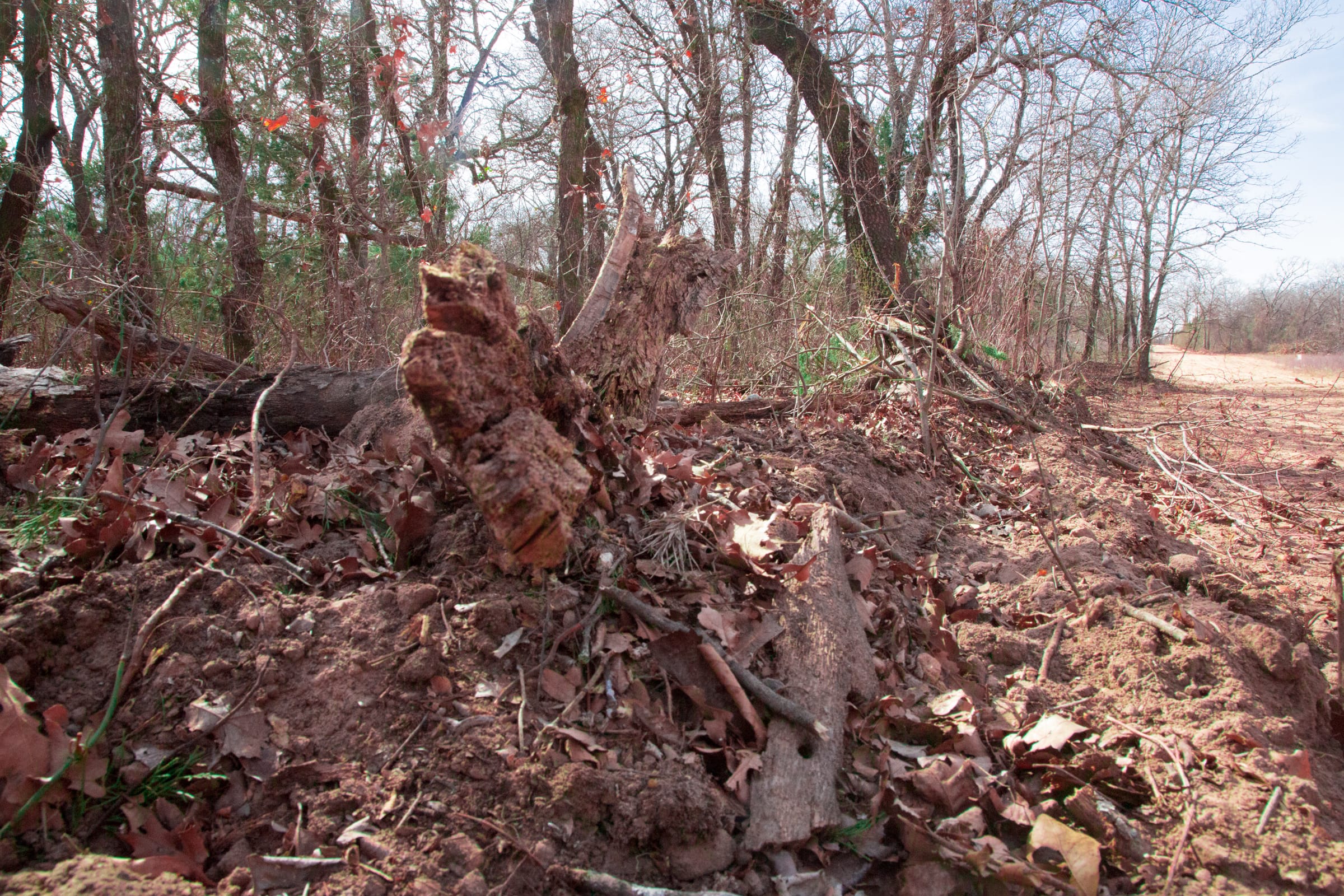 Legacy Ranch Tract 14 photo 11