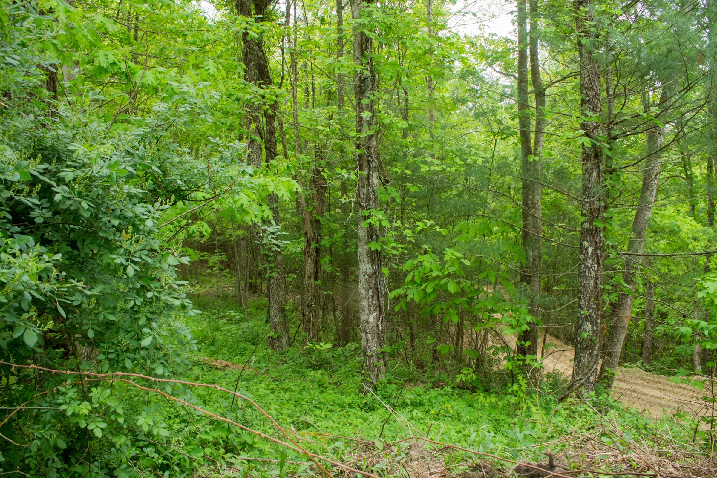 Trails End Tract 1 photo 2
