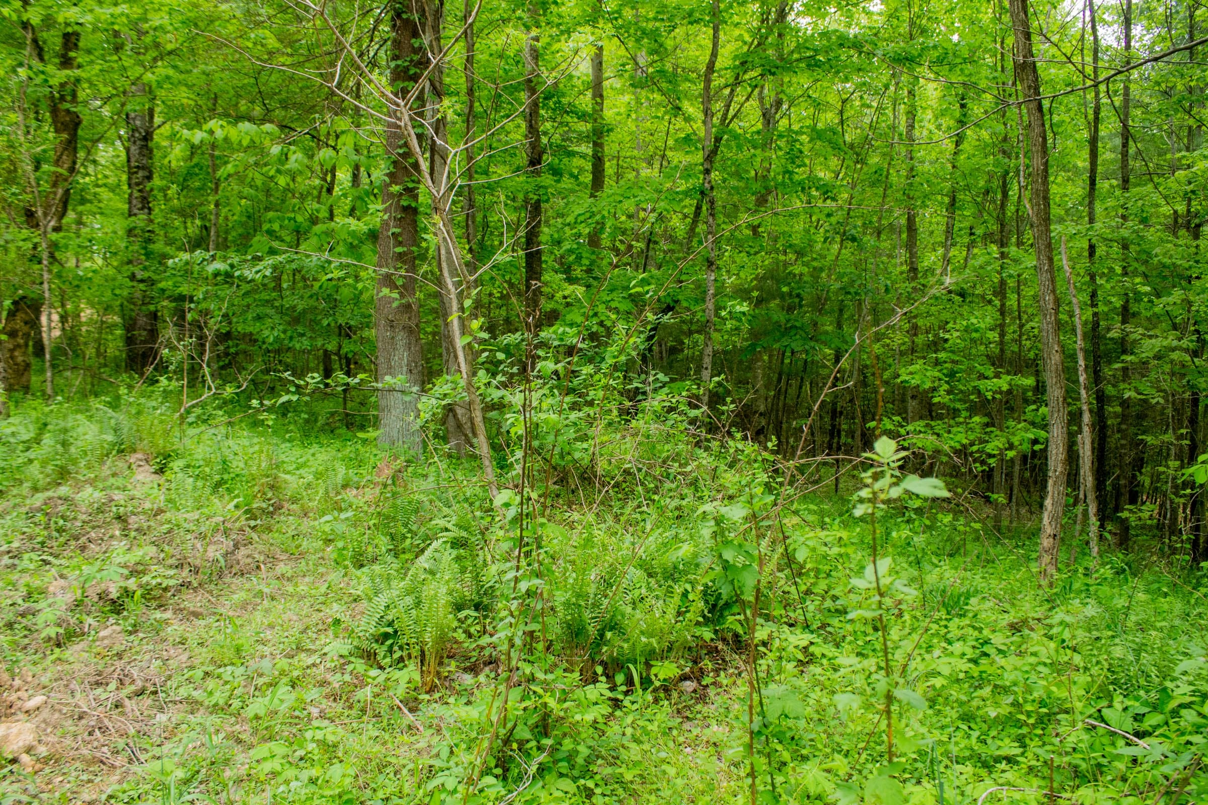 Trails End Tract 1 photo 5