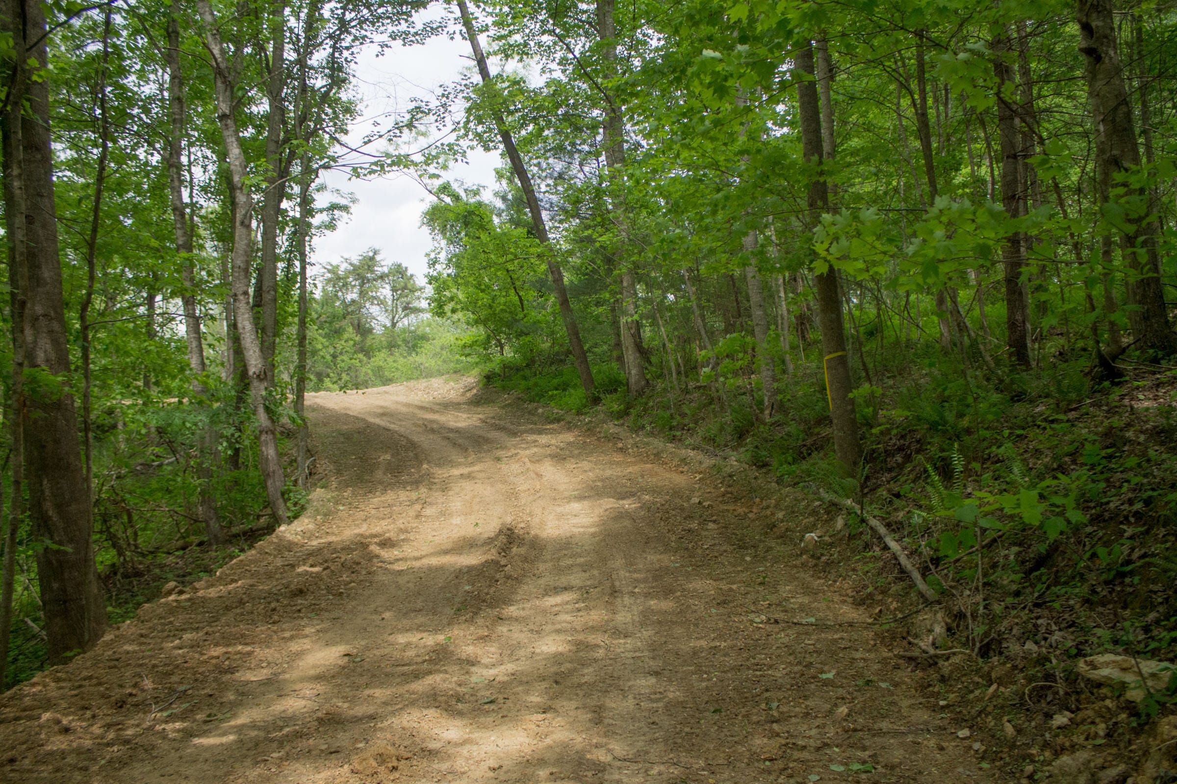 Trails End Tract 1 photo 8