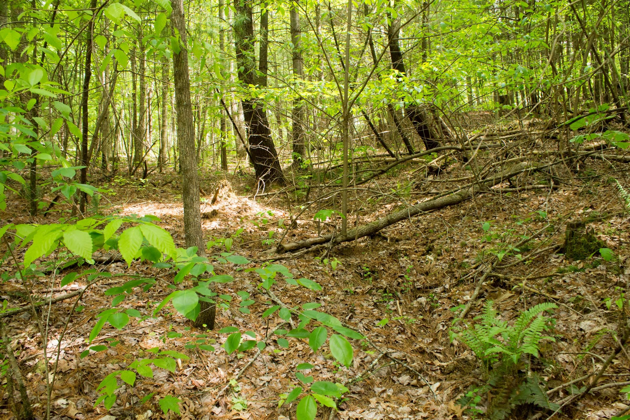 Trails End Tract 1 photo 10