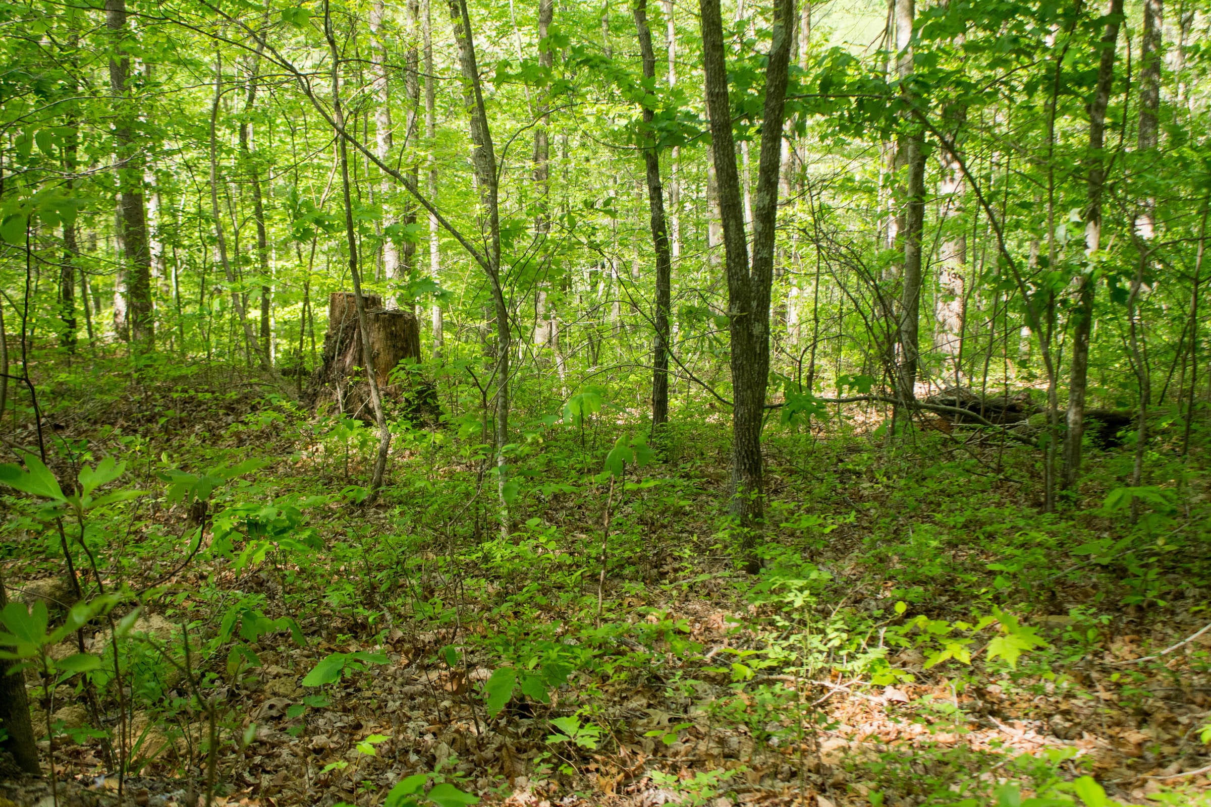 Trails End Tract 1 photo 13
