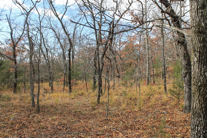 Indian Ridge – Phase I Tract 10 photo 2
