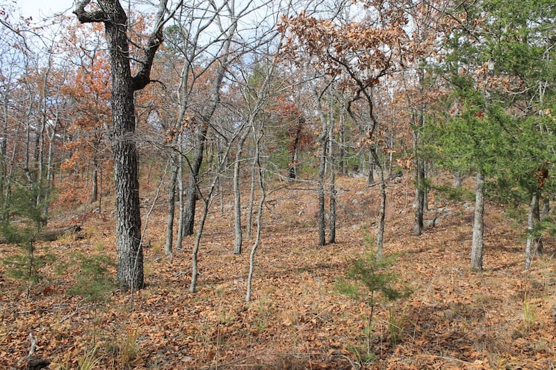 Indian Ridge – Phase I Tract 10 photo 3