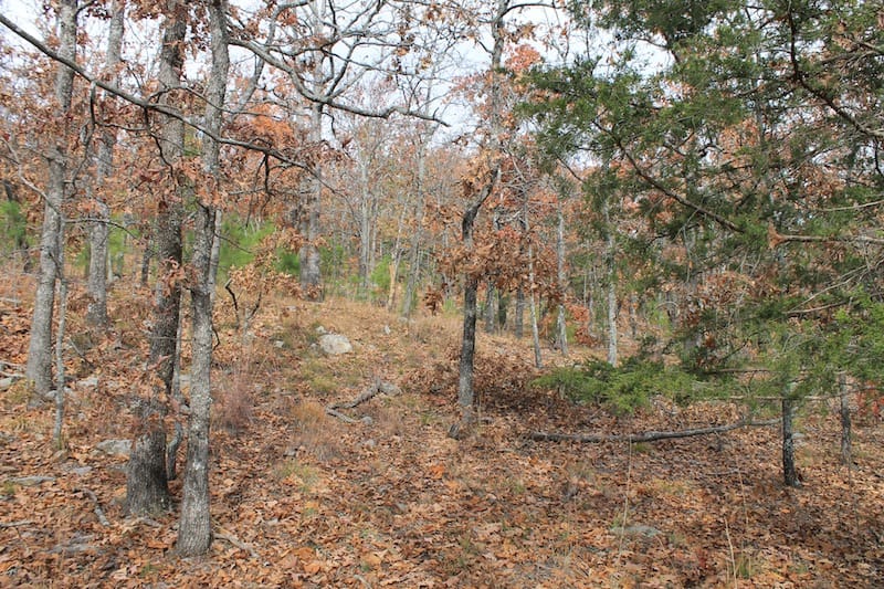 Indian Ridge – Phase I Tract 10 photo 4