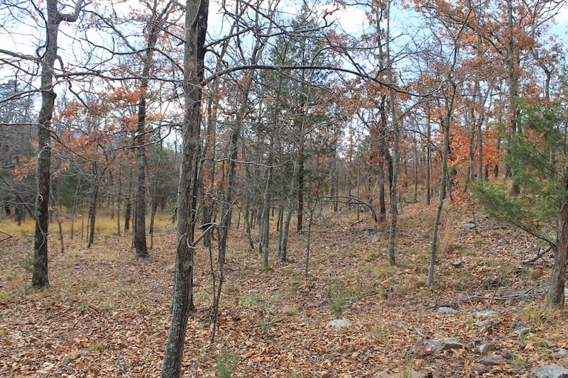 Indian Ridge – Phase I Tract 10 photo 5