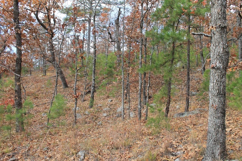 Indian Ridge – Phase I Tract 10 photo 6