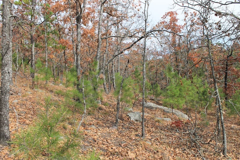 Indian Ridge – Phase I Tract 10 photo 7