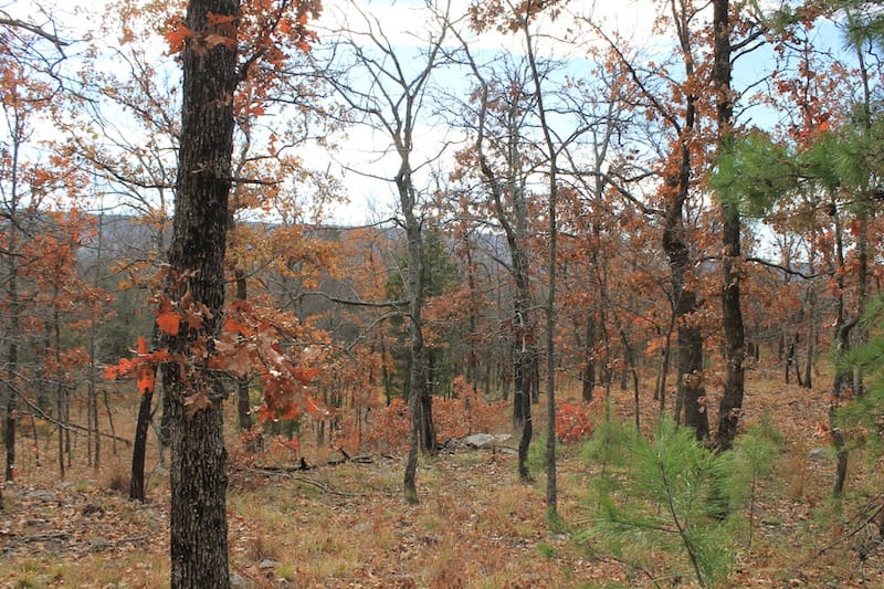 Indian Ridge – Phase I Tract 10 photo 9