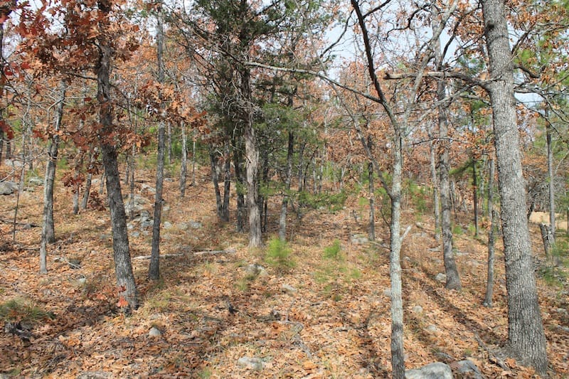 Indian Ridge – Phase I Tract 10 photo 10