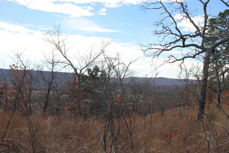 Indian Ridge – Phase I Tract 10 photo 11