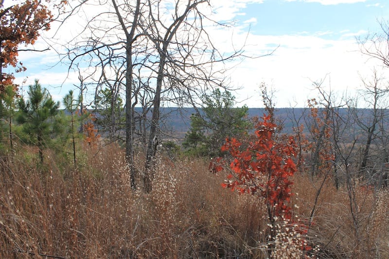 Indian Ridge – Phase I Tract 10 photo 12