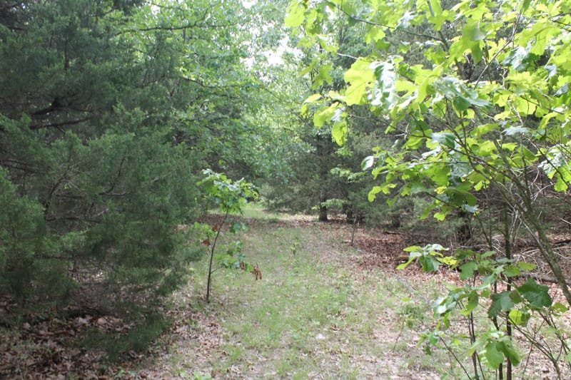Cedar Ridge Ranch Tract 26 photo 1