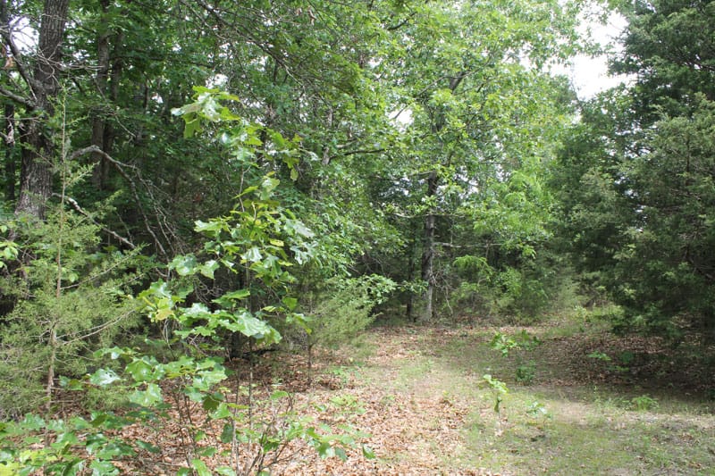 Cedar Ridge Ranch Tract 26 photo 2