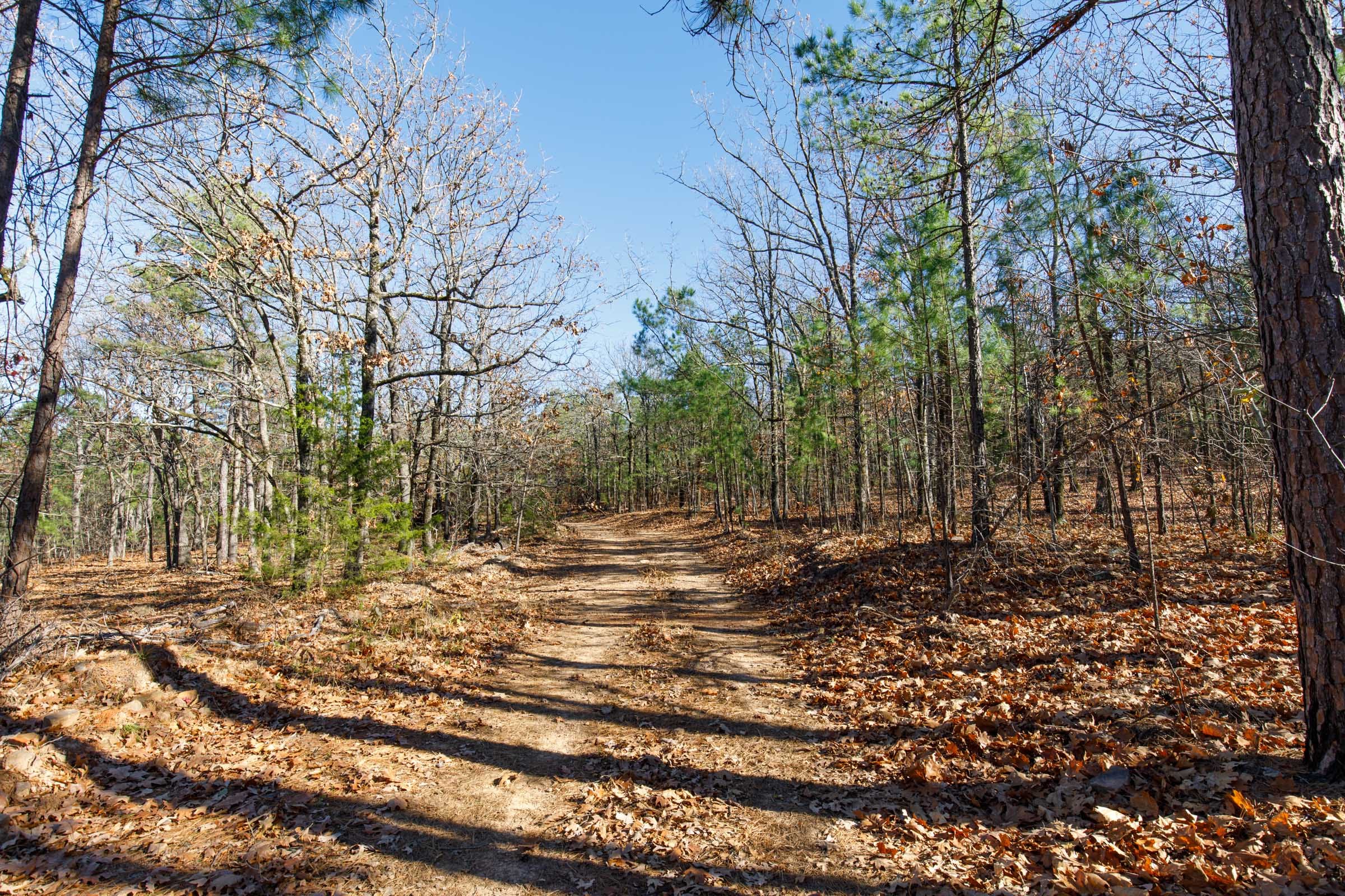 Stone Bridge Phase II Tract 127 photo 1