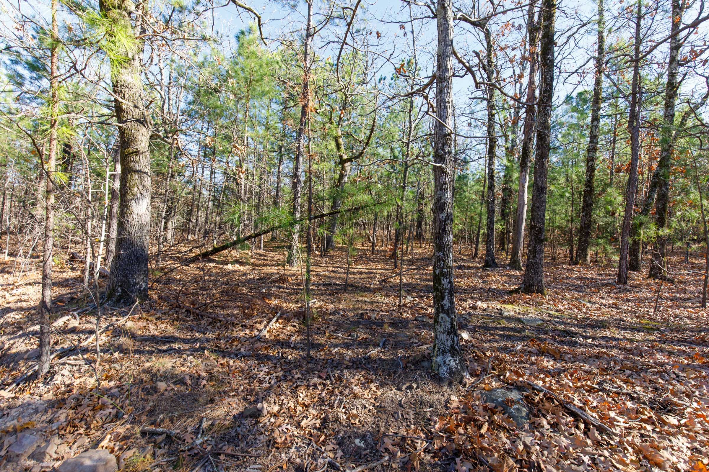 Stone Bridge Phase II Tract 127 photo 8