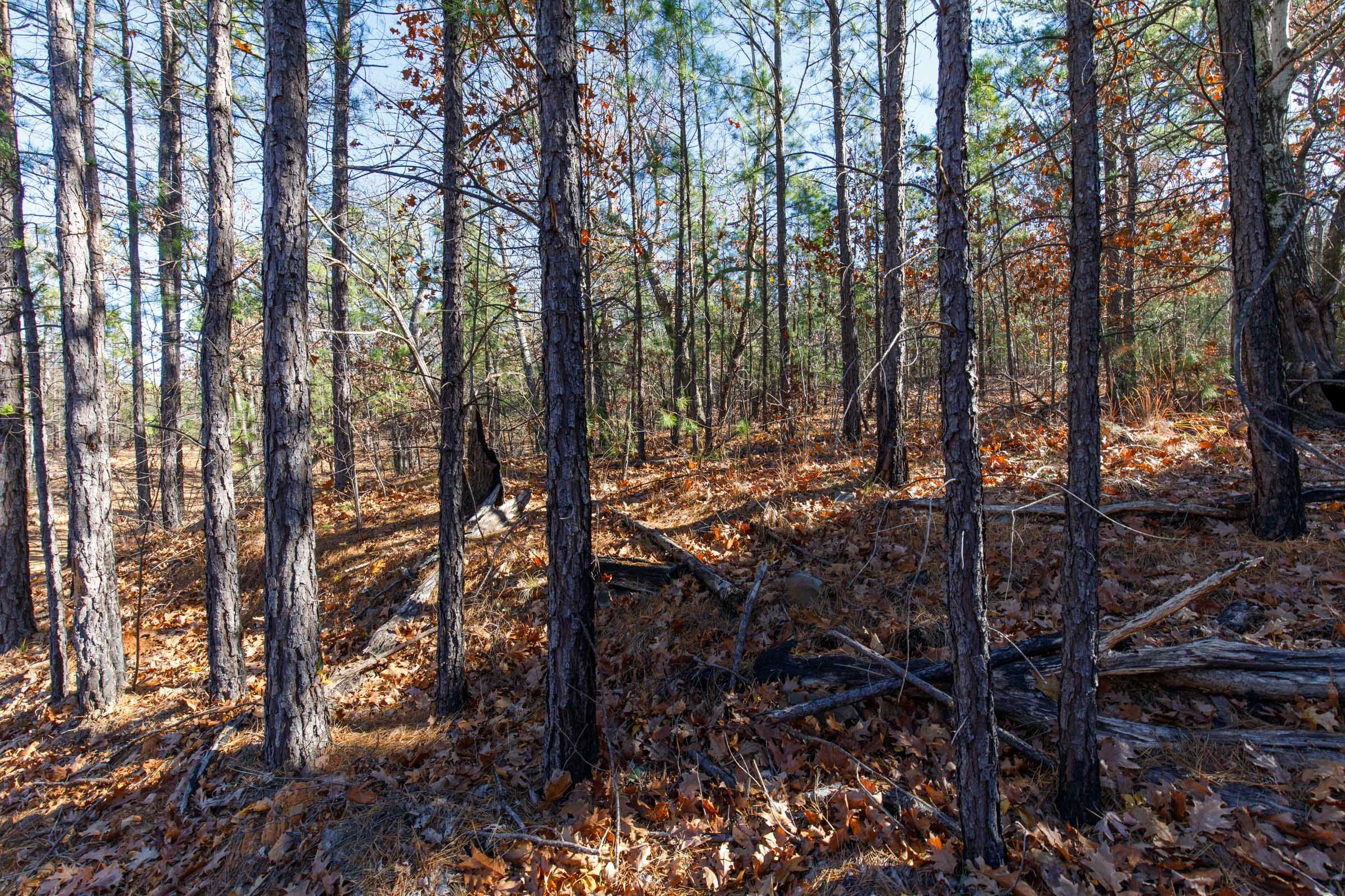 Stone Bridge Phase II Tract 127 photo 7