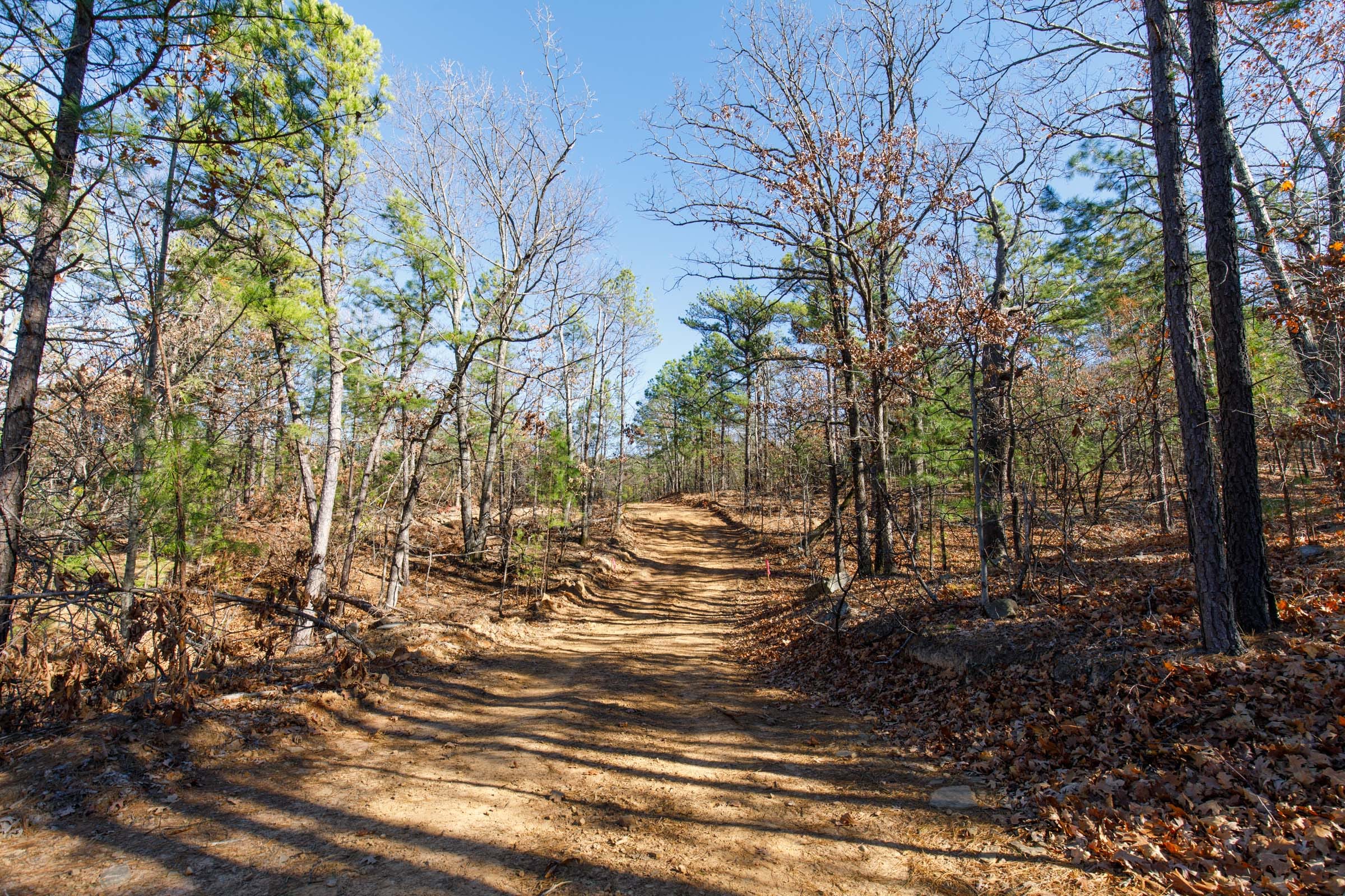 Stone Bridge Phase II Tract 127 photo 5
