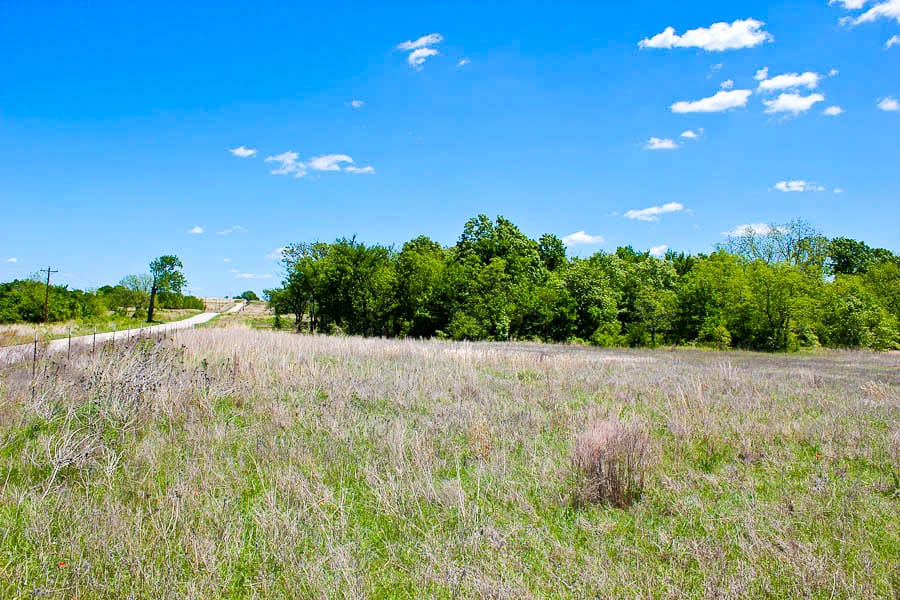 Saddlebrook Ranch Tract 40 photo 1