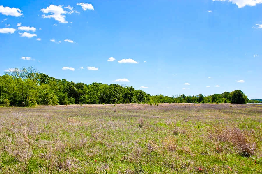 Saddlebrook Ranch Tract 40 photo 2