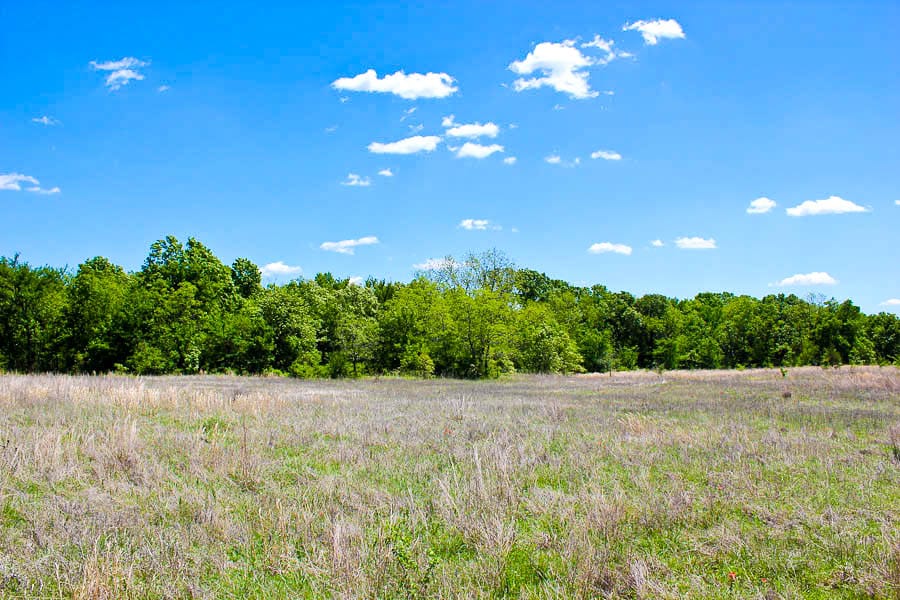 Saddlebrook Ranch Tract 40 photo 3