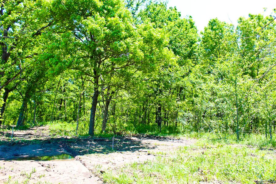 Saddlebrook Ranch Tract 40 photo 4