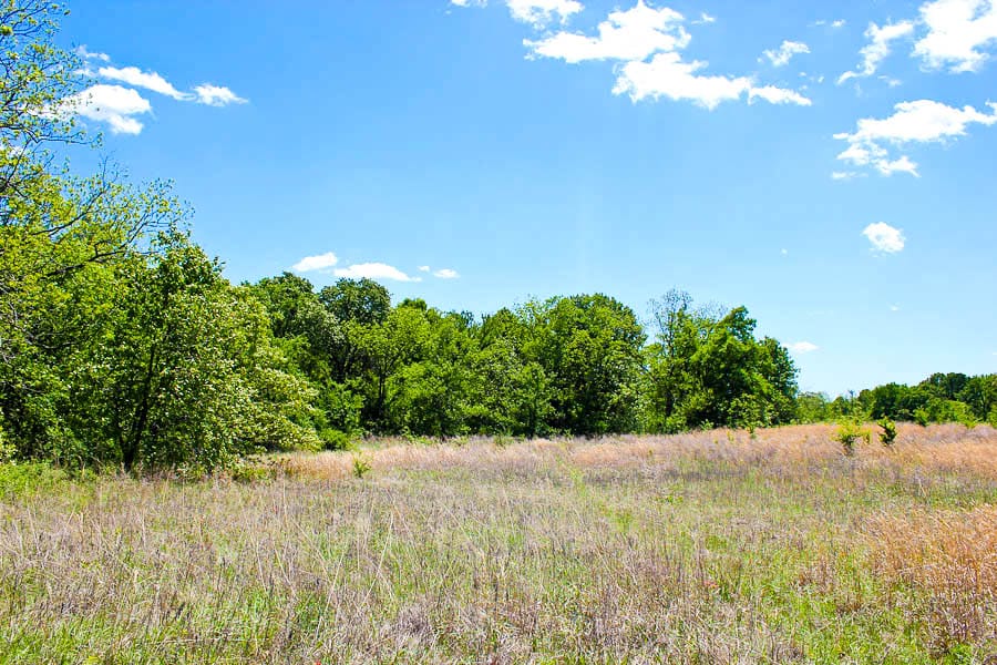 Saddlebrook Ranch Tract 40 photo 5
