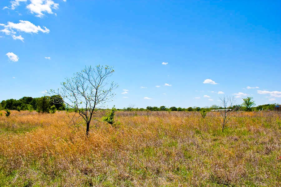 Saddlebrook Ranch Tract 40 photo 6
