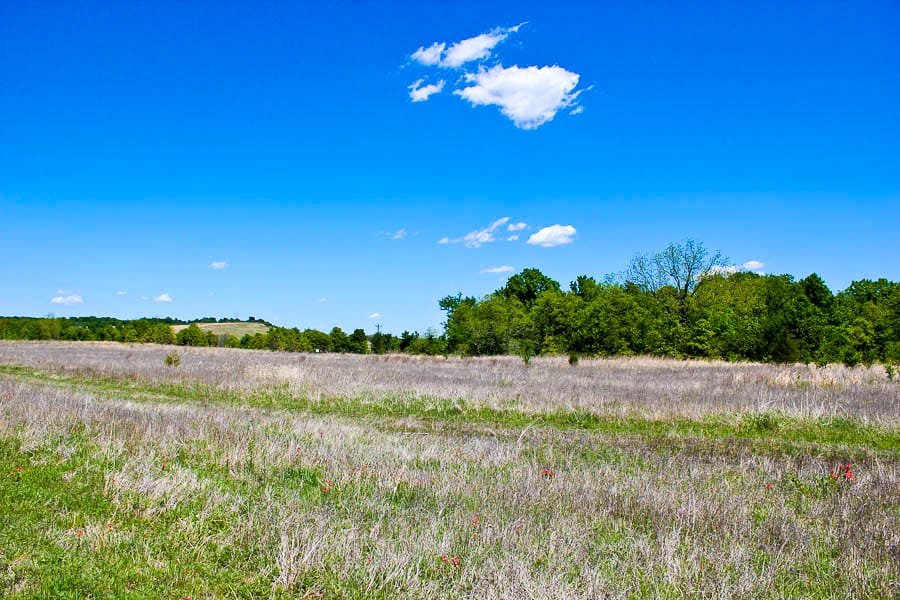 Saddlebrook Ranch Tract 40 photo 8