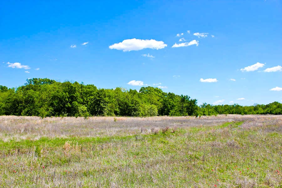 Saddlebrook Ranch Tract 40 photo 9