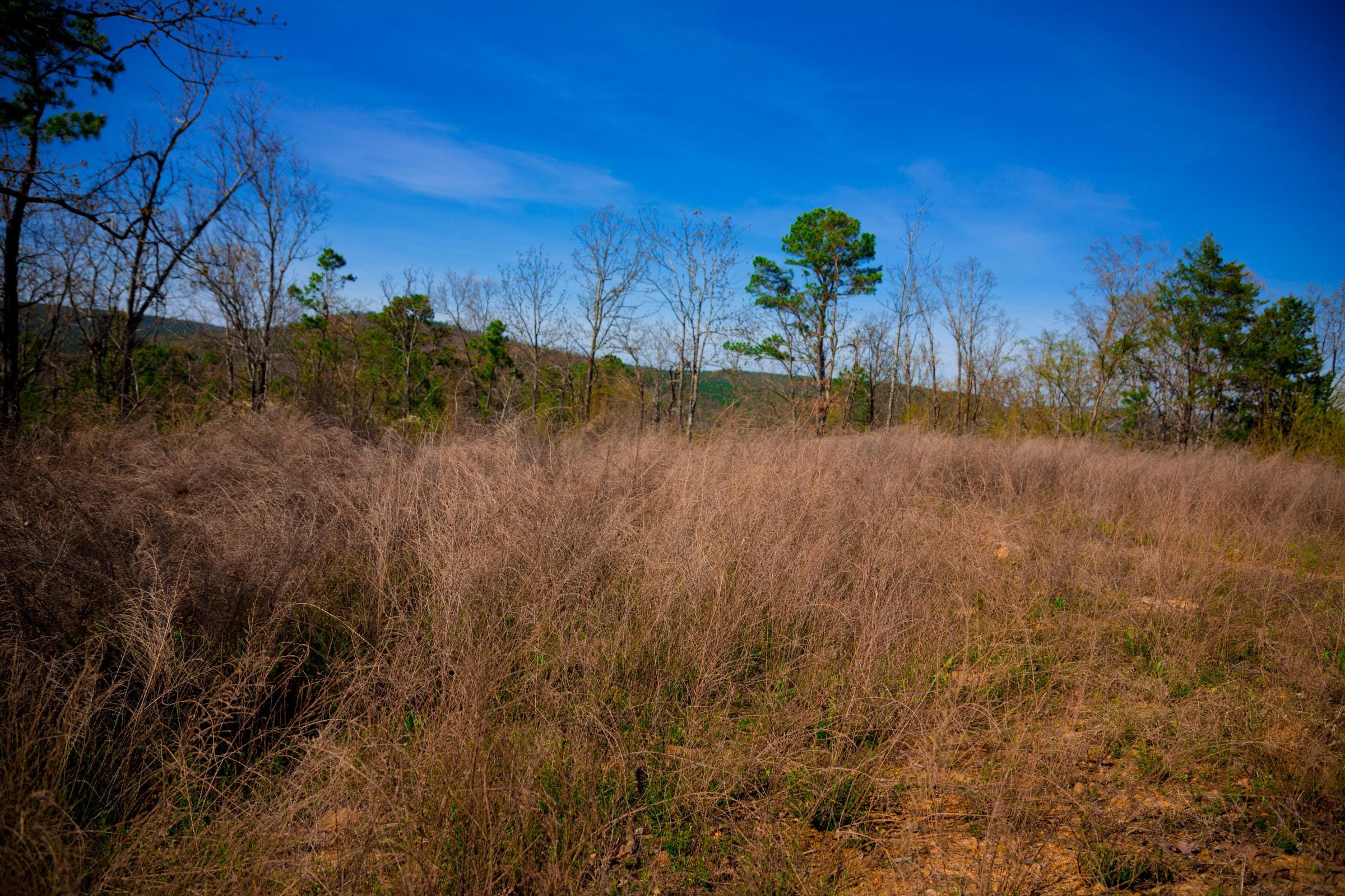 Stone Creek Phase II Tract 218 photo 3