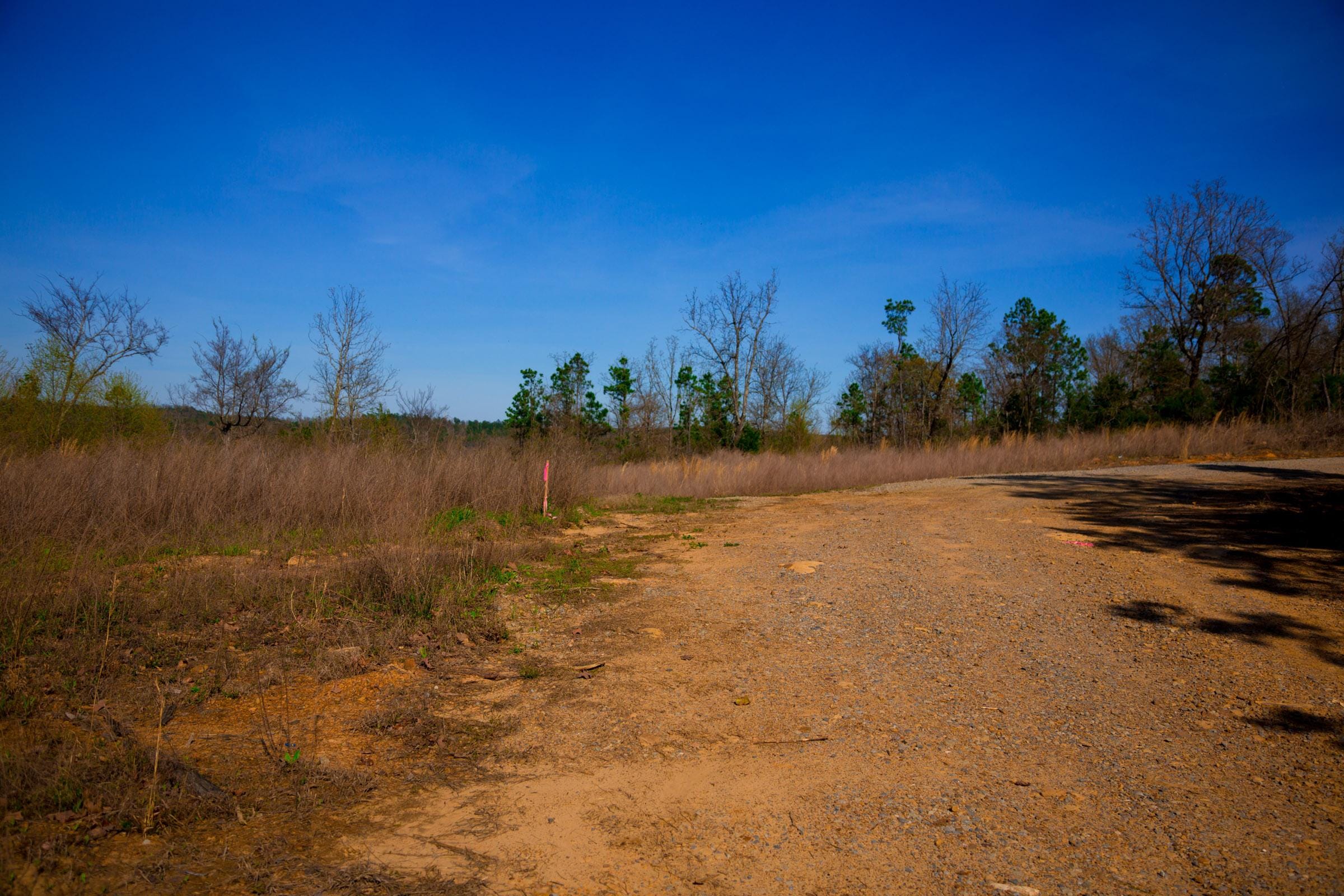 Stone Creek Phase II Tract 218 photo 4