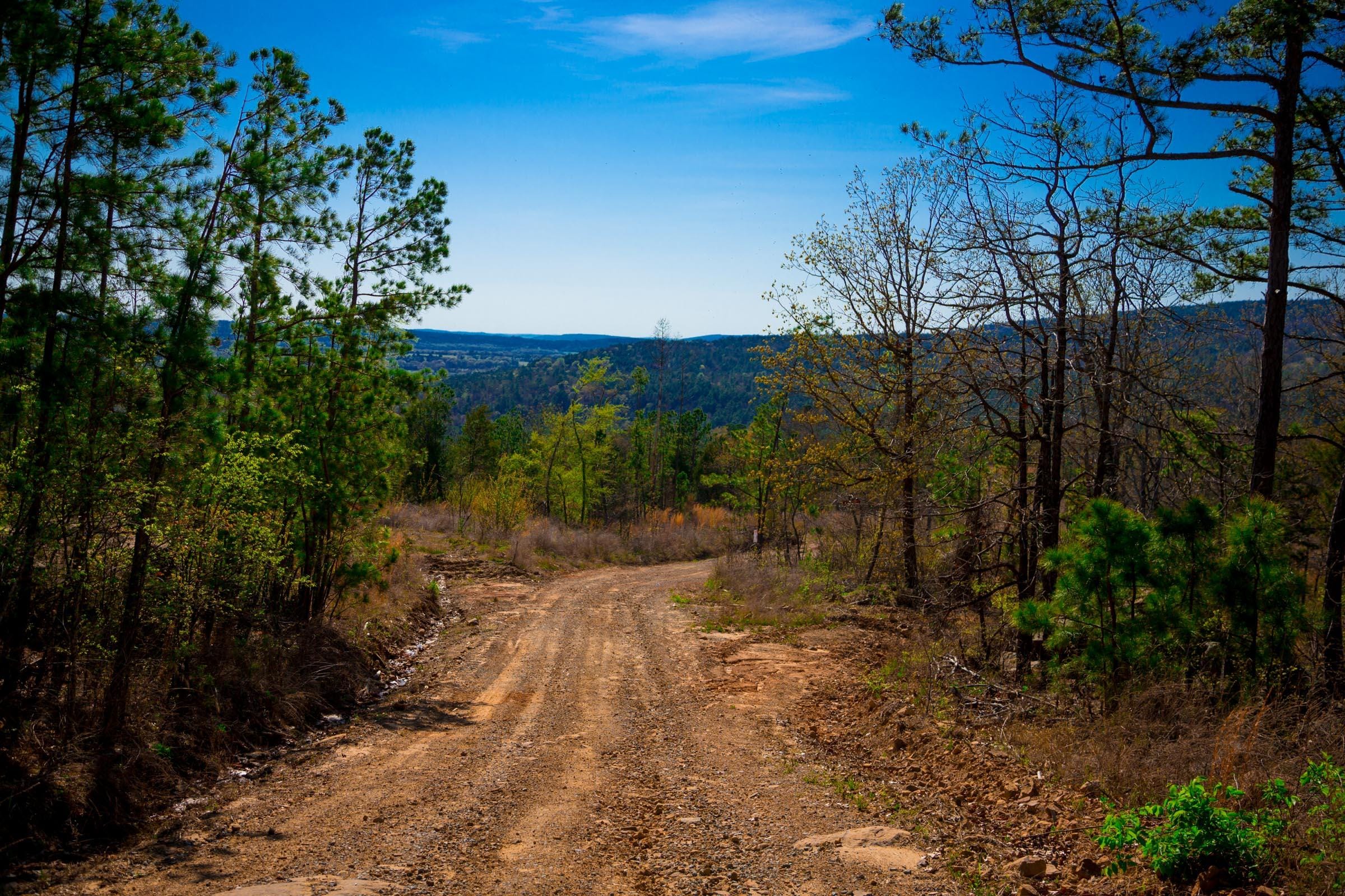 Stone Creek Phase II Tract 218 photo 2