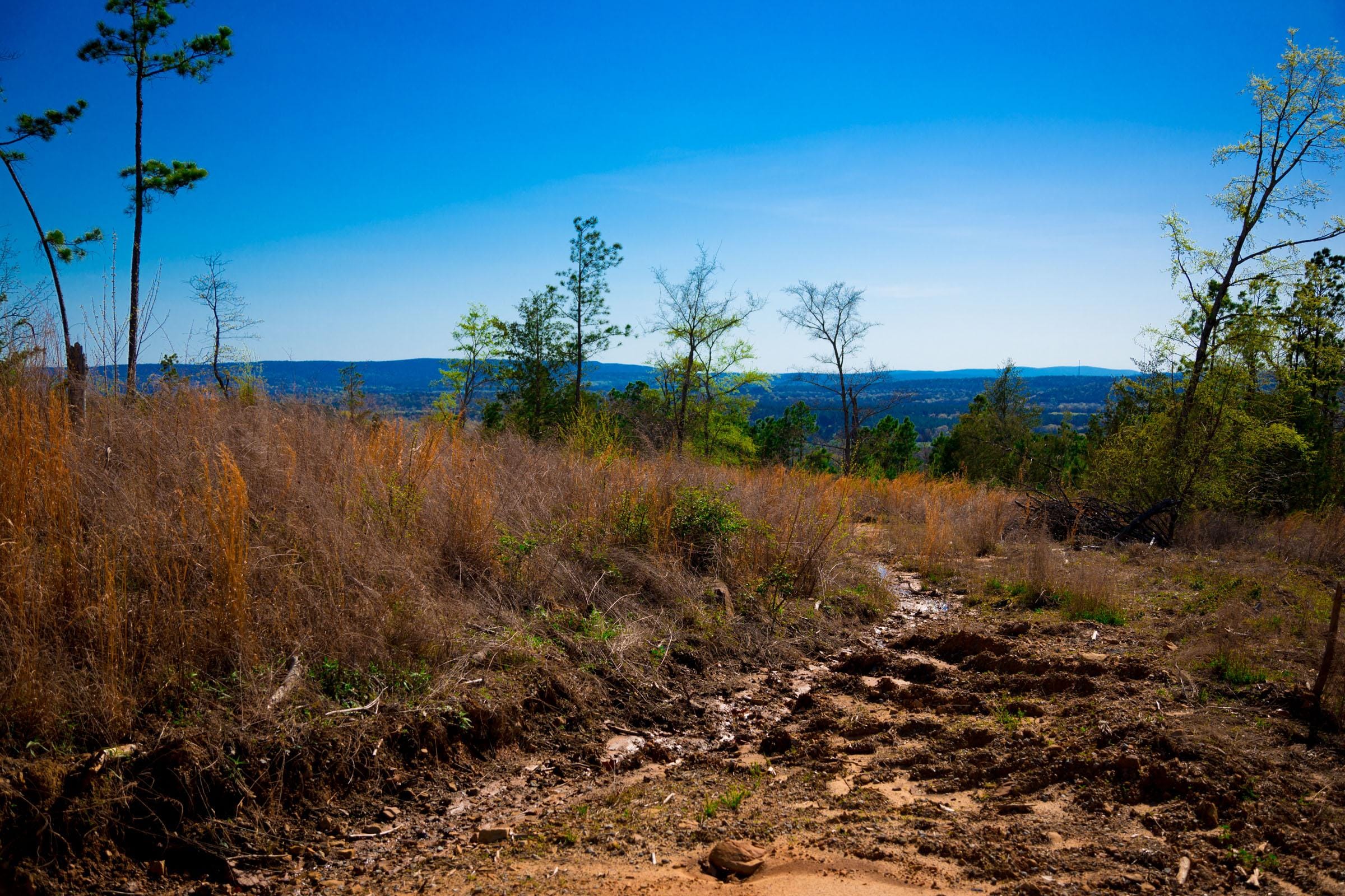Stone Creek Phase II Tract 218 photo 6