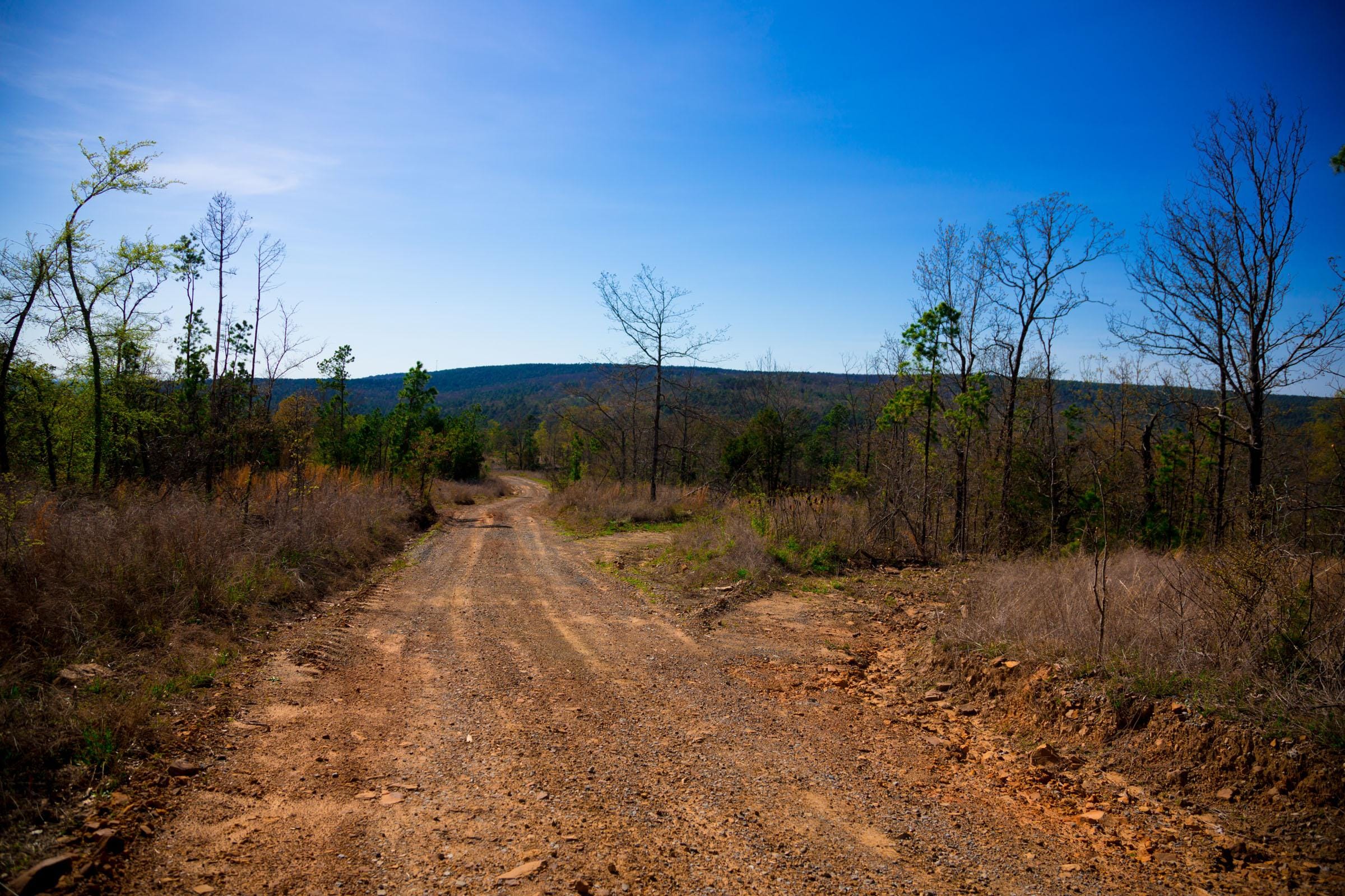 Stone Creek Phase II Tract 218 photo 7