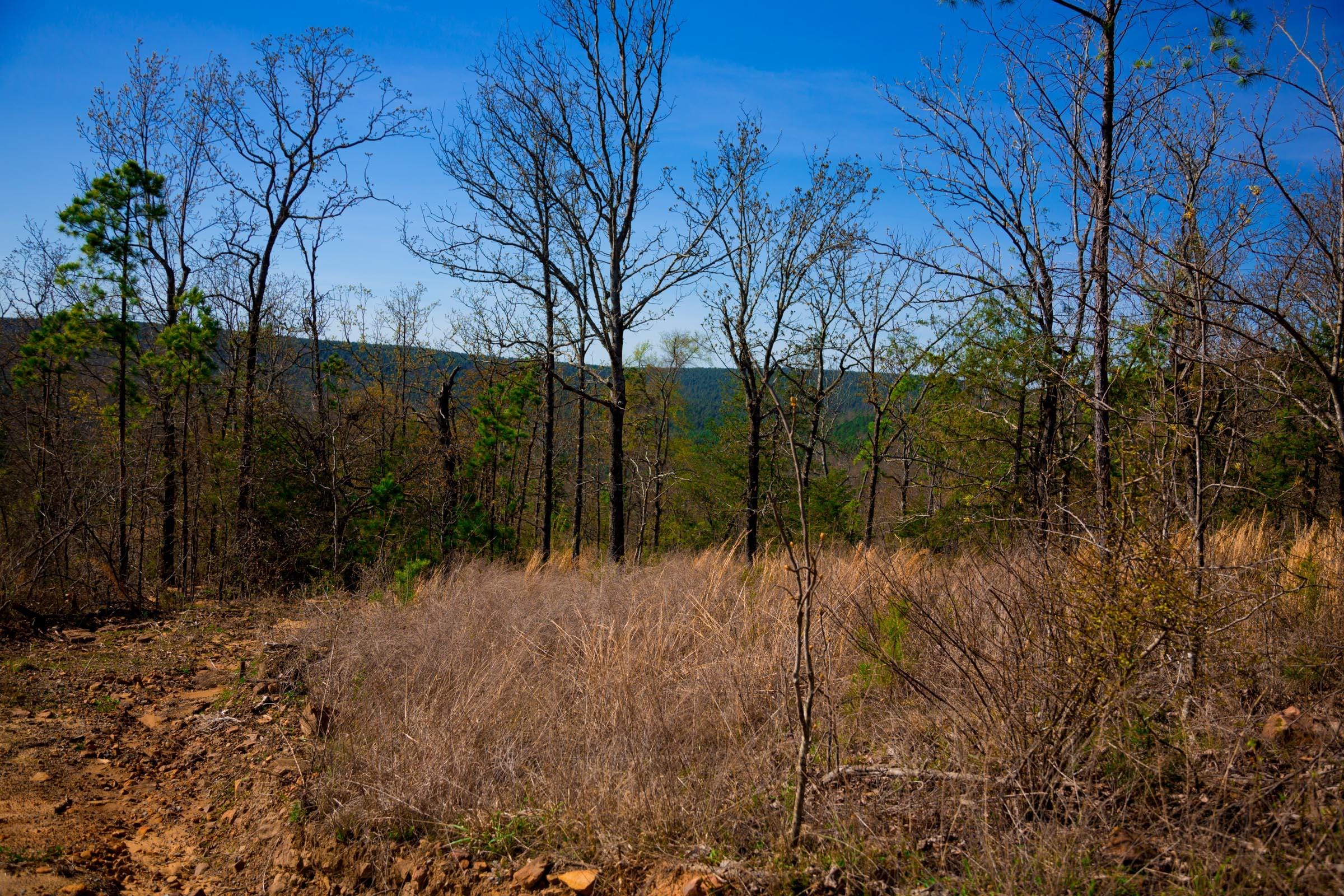 Stone Creek Phase II Tract 218 photo 8