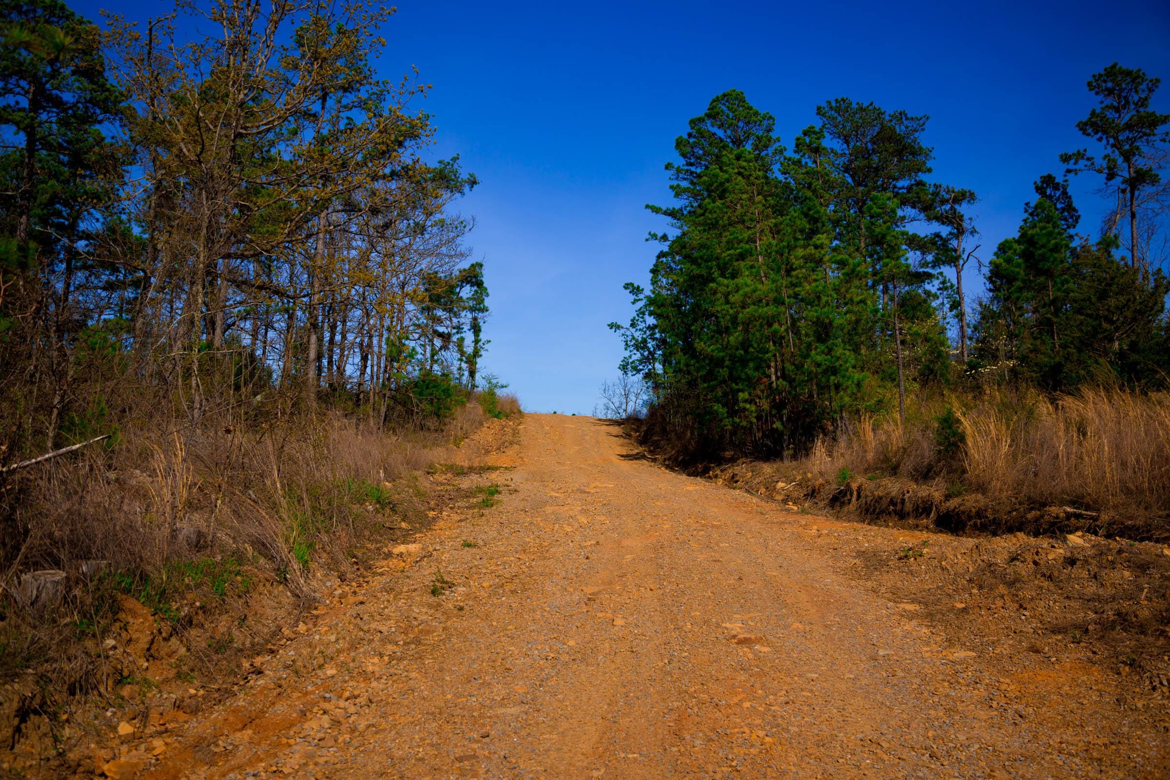 Stone Creek Phase II Tract 218 photo 9