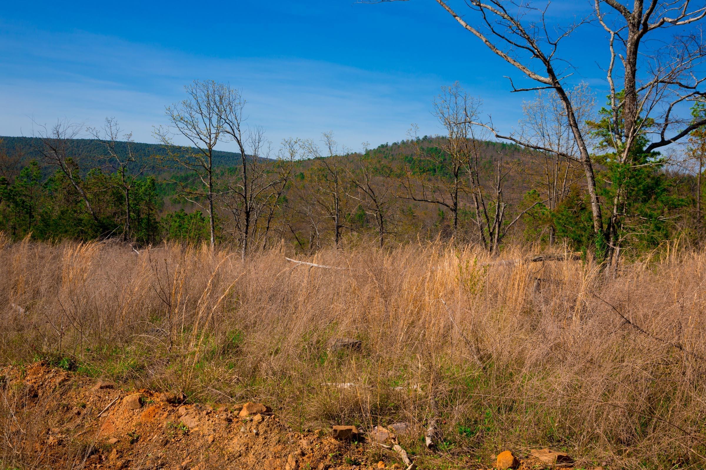 Stone Creek Phase II Tract 218 photo 12