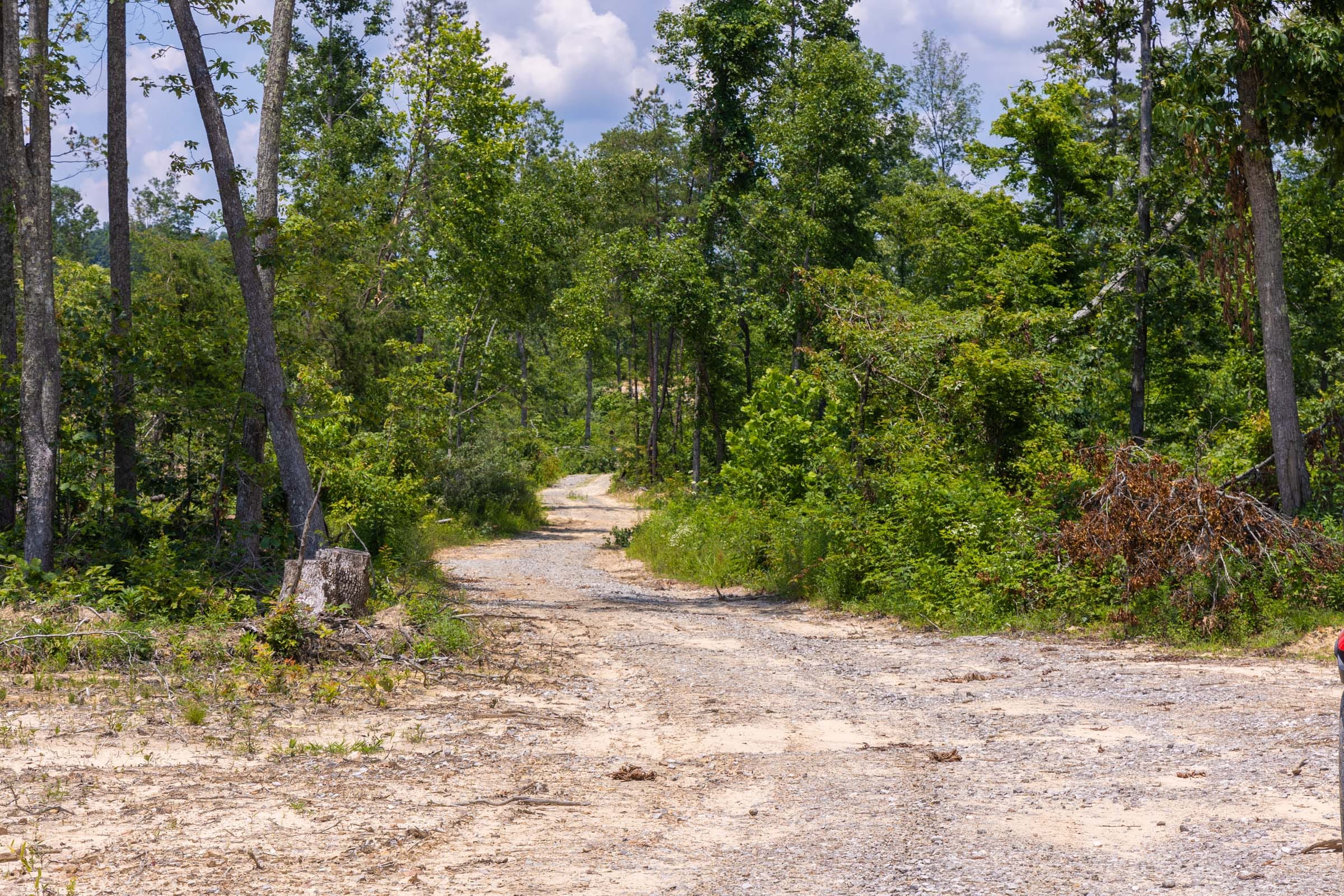 Creek Hollow Phase II Tract 55 photo 1