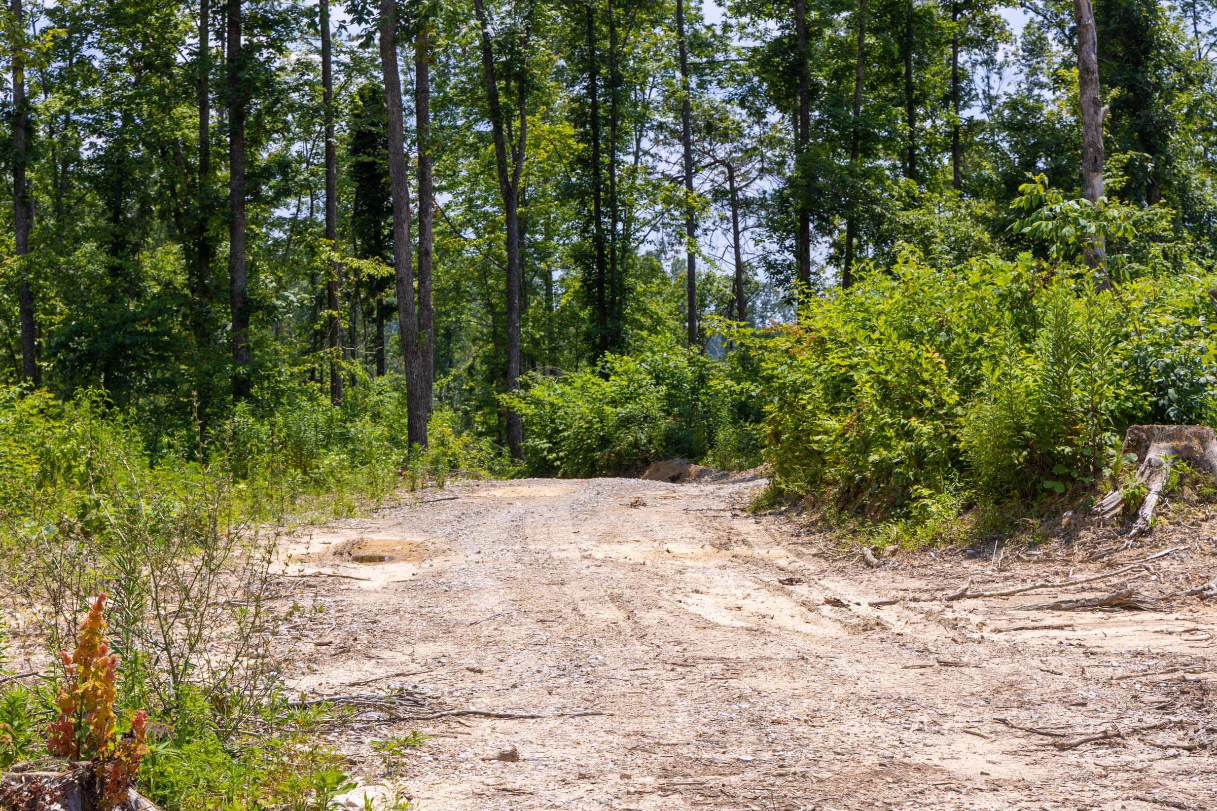 Creek Hollow Phase II Tract 55 photo 5