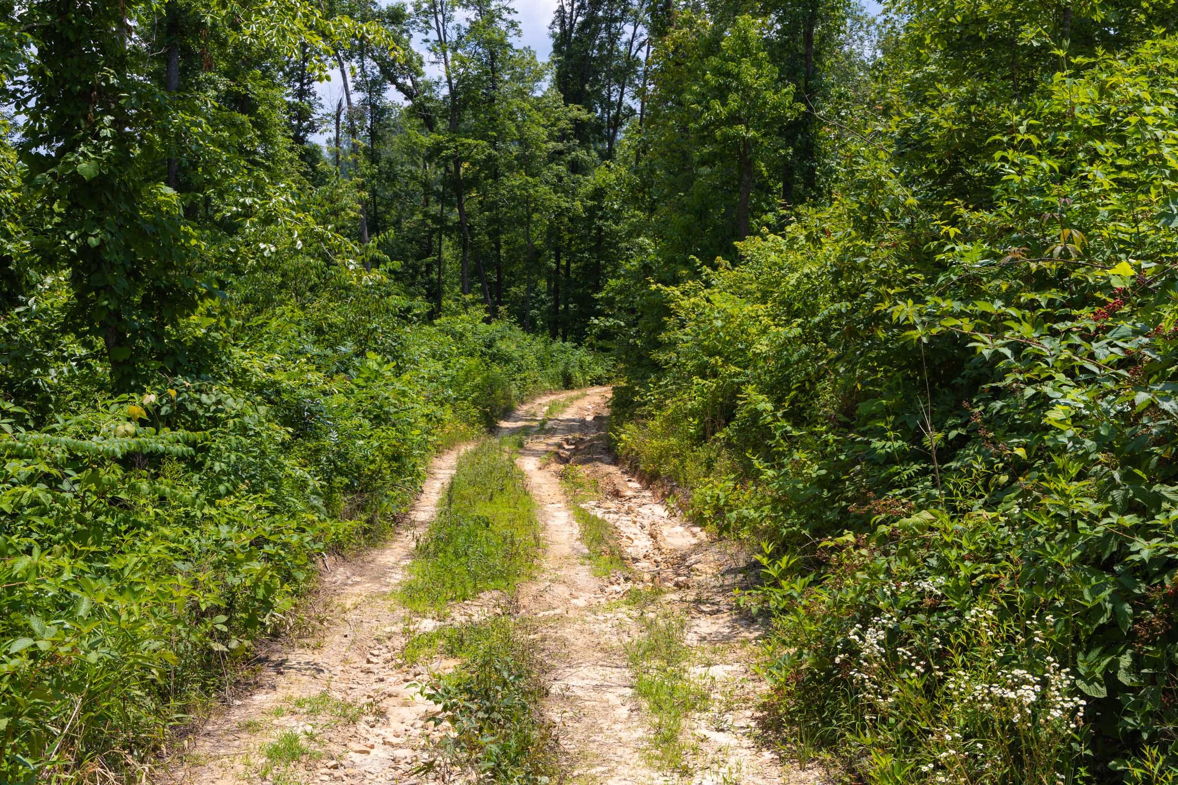Creek Hollow Phase II Tract 55 photo 8